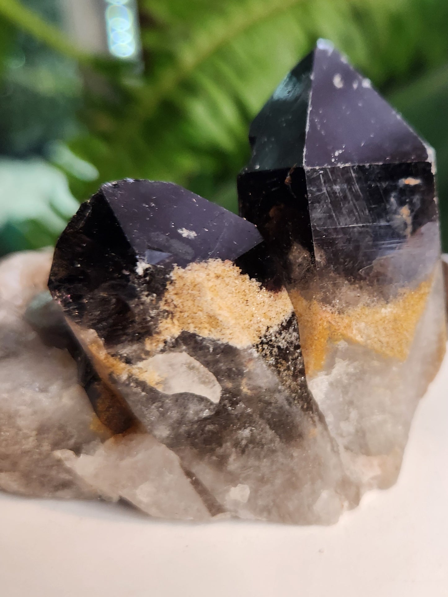 Natural Smoky / Smokey Quartz Crystal Cluster – Dark Smoky Quartz on Matrix - Brazil