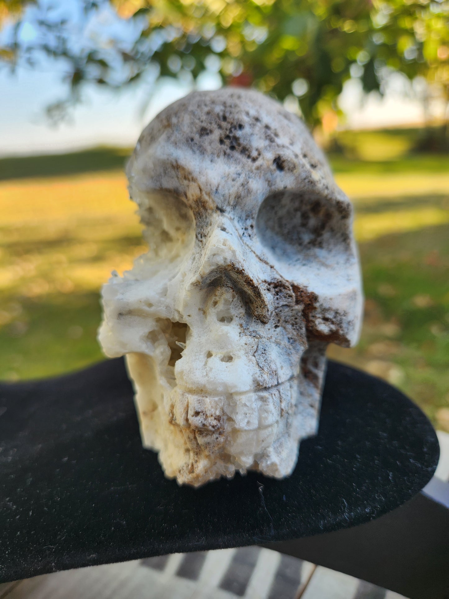 Natural Crystal Skull Carving – Unique White & Brown Druzy Quartz  with Sphalerite