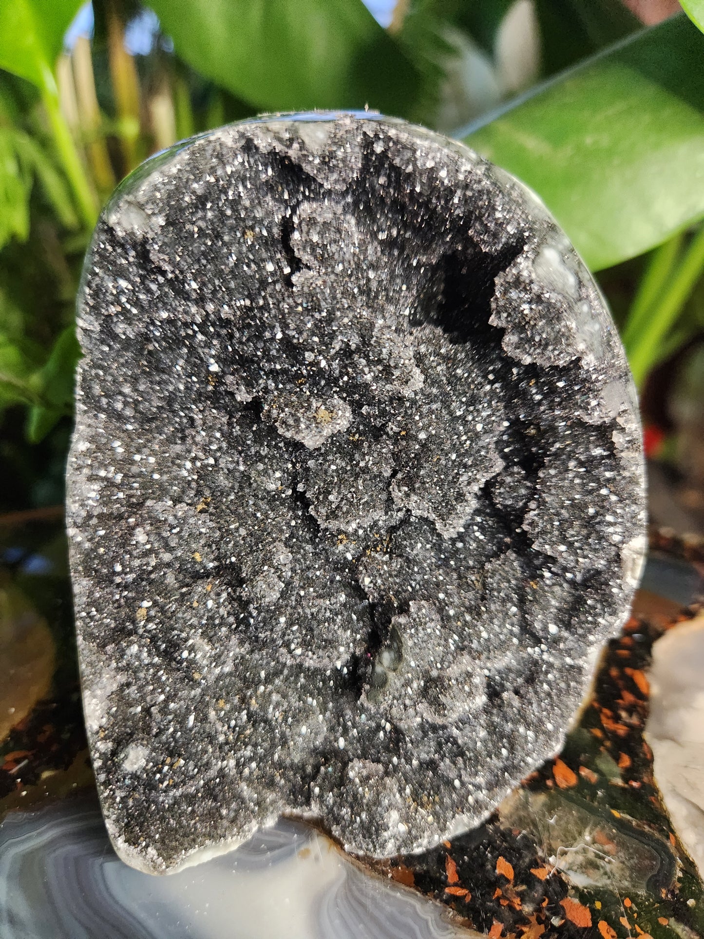 Large Druzy Black Amethyst Standing Freeform • Natural Dark Amethyst Cluster from Brazil • Sparkling Druzy Display Piece • Protection & Cleansing Crystal