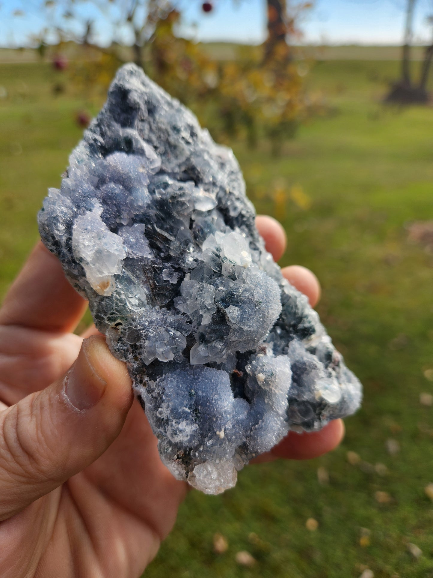 Gorgeous Zeolite Crystal Cluster- Spiritual and Physical Detoxifying and Purifying.