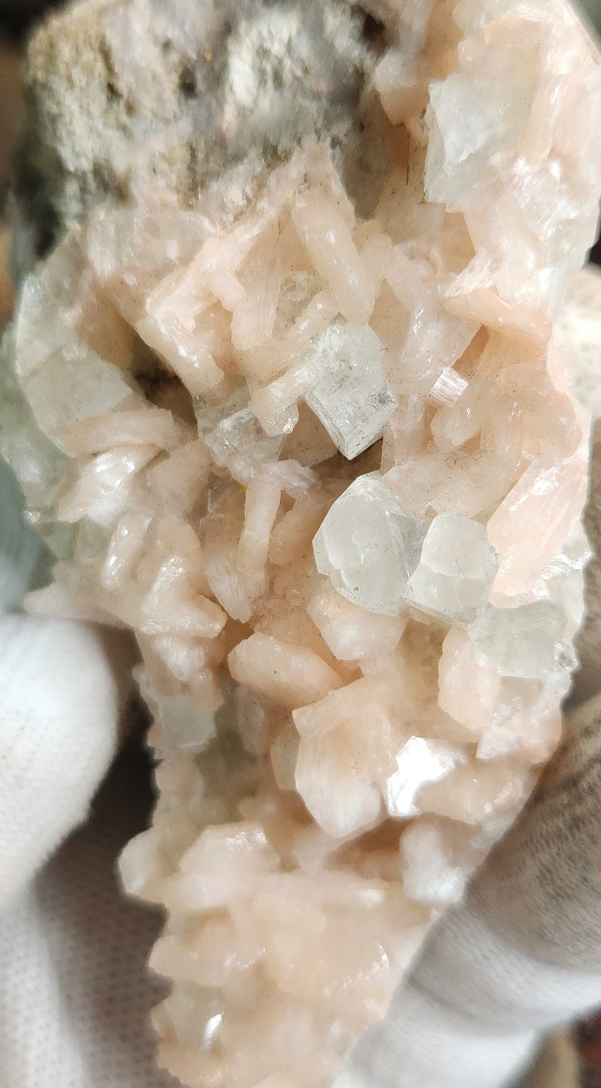 Gorgeous Peach Stilbite with Apophyllite on Matrix | Natural Zeolite Crystal Cluster | India