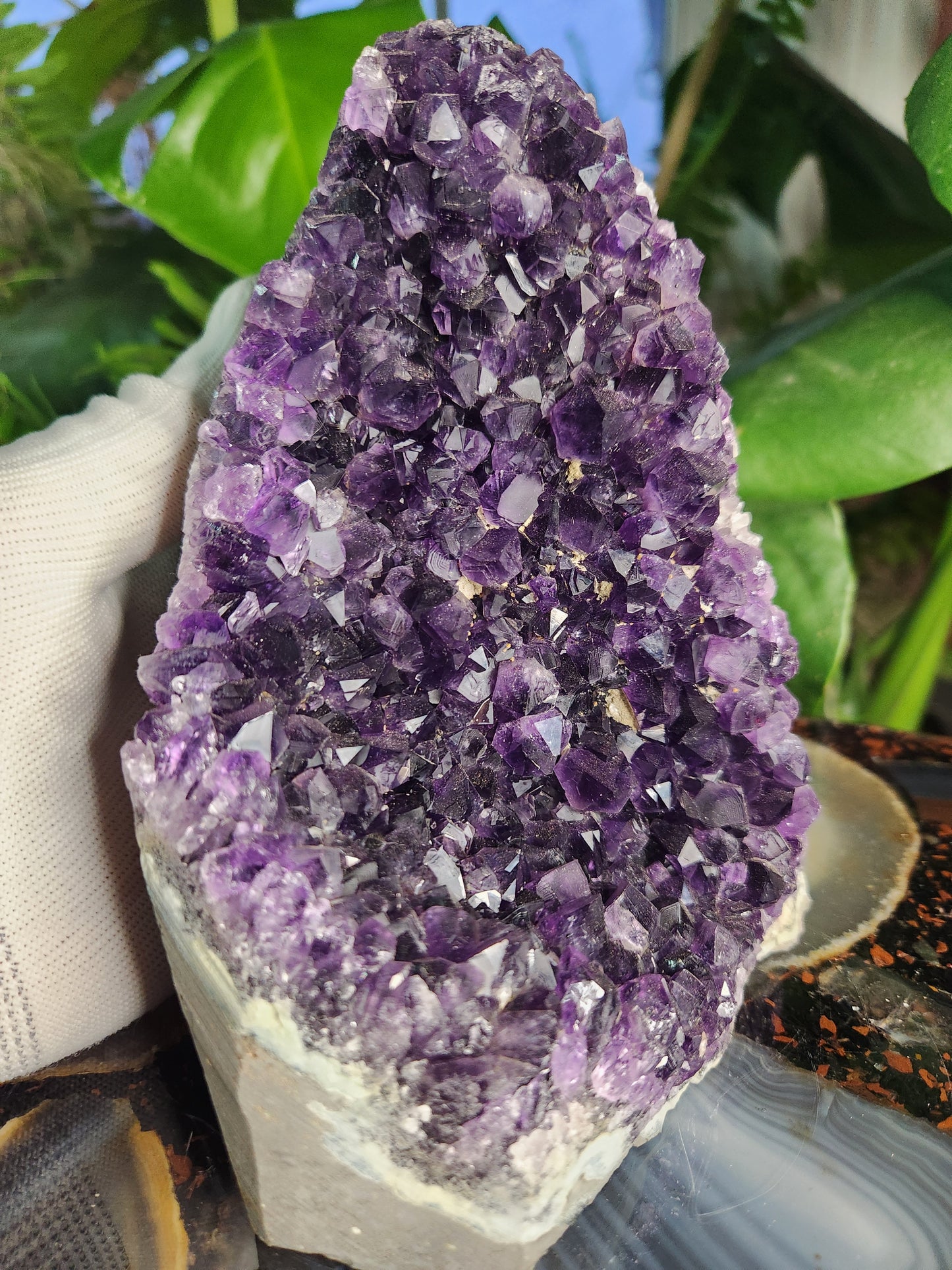Stunning Amethyst Druzy Cluster from Brazil – Sparkling Purple Quartz Crystal Geode • Natural Healing Stone • Collector Display Specimen With Cut Base