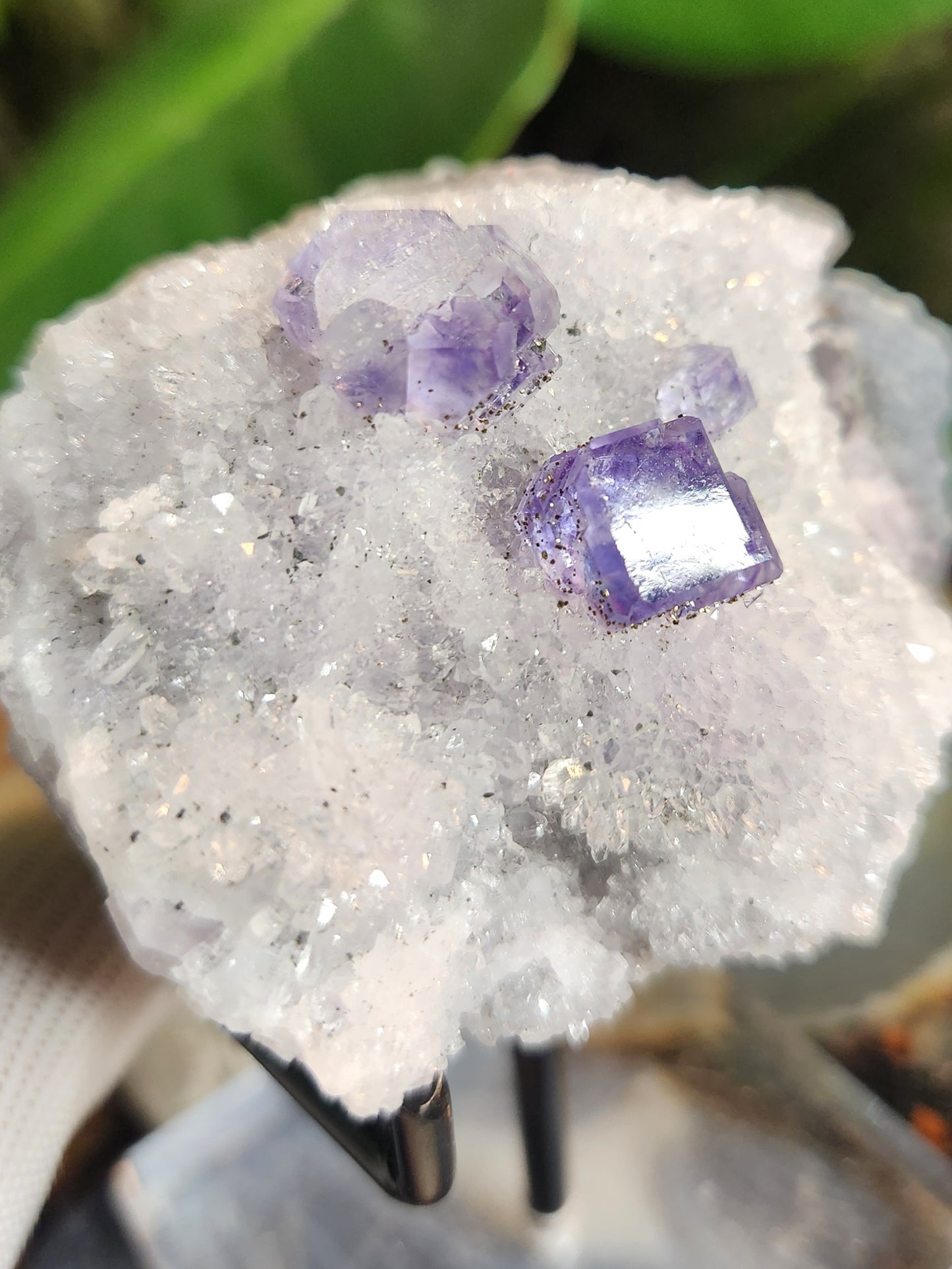 Purple Cubic Fluorite on Quartz Matrix | Sharp Fluorite Cube Collector Specimen