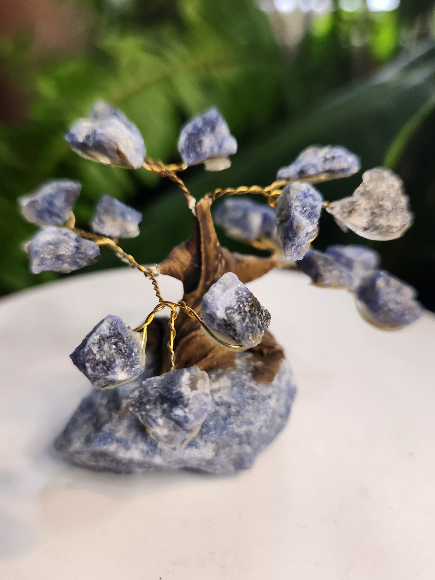 Handmade Sodalite Crystal Tree on Sodalite Base | Natural Blue Gemstone Tree | Clarity & Communication Crystal Decor