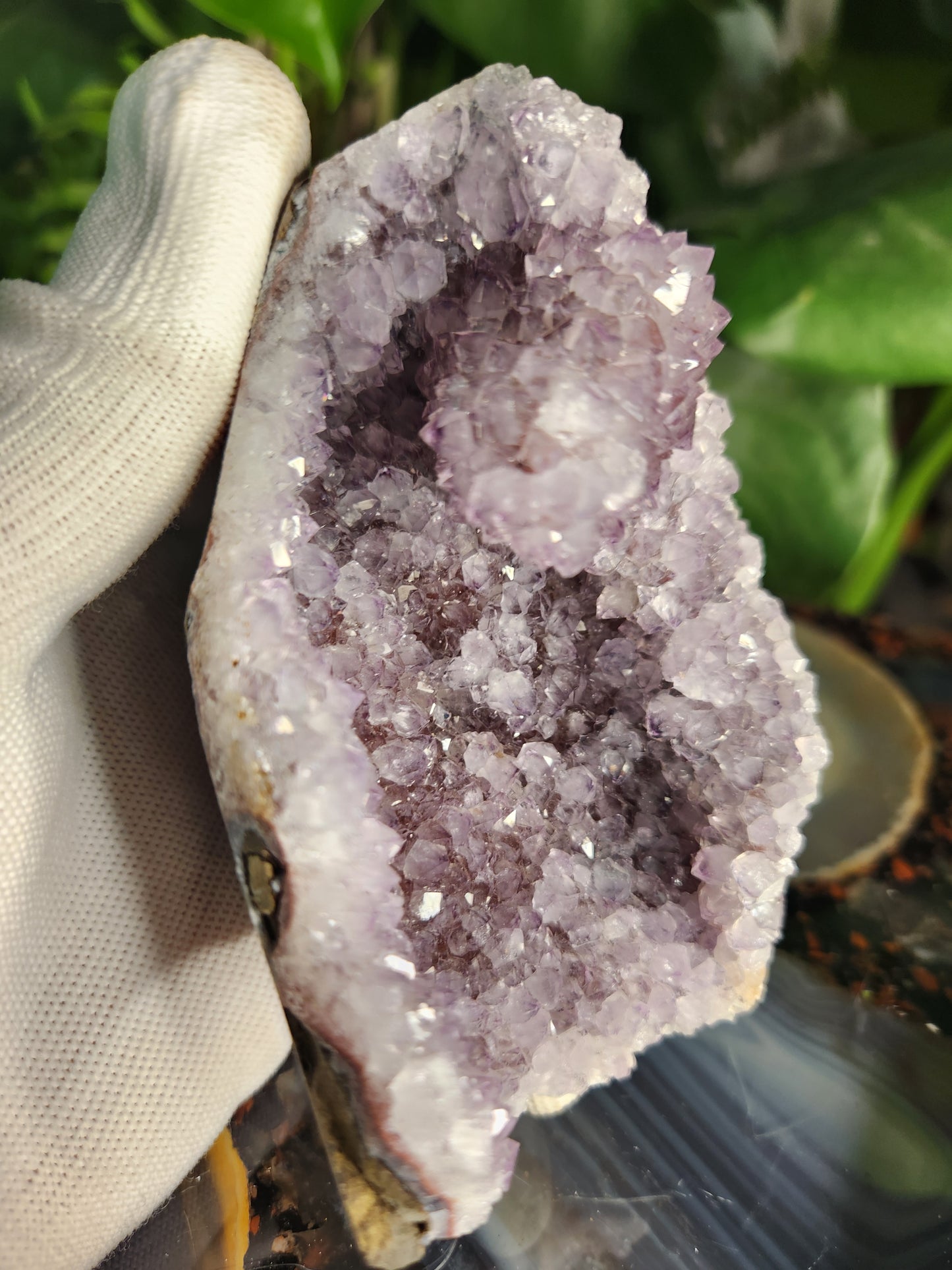 Stunning Amethyst Druzy Cluster from Brazil – Sparkling Purple Quartz Crystal Geode • Natural Healing Stone • Collector Display Specimen With Cut Base