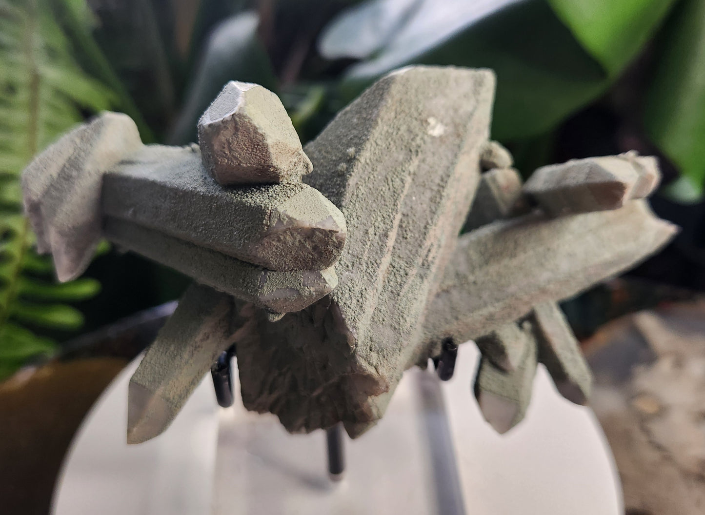 Chlorite-Coated Quartz Cluster • Rare Velvety Green Growth • Natural Formation