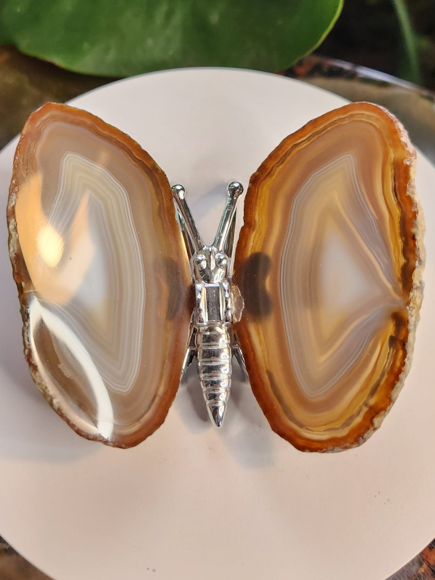 Natural Banded Agate Butterfly – Polished Agate Wings on Metal Body