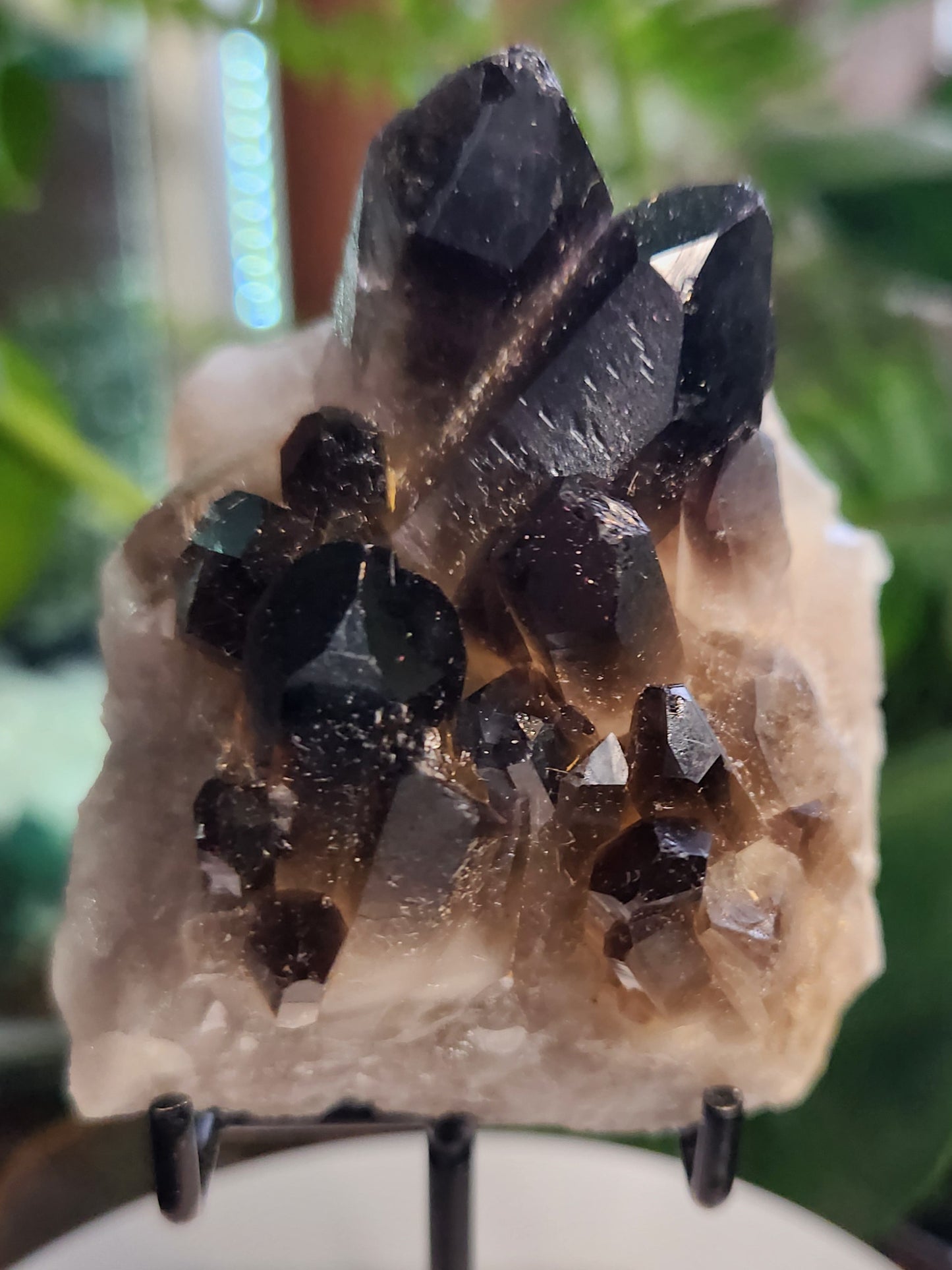 Natural Smoky / Smokey Quartz Crystal Cluster – Dark Smoky Quartz on Matrix - Brazil