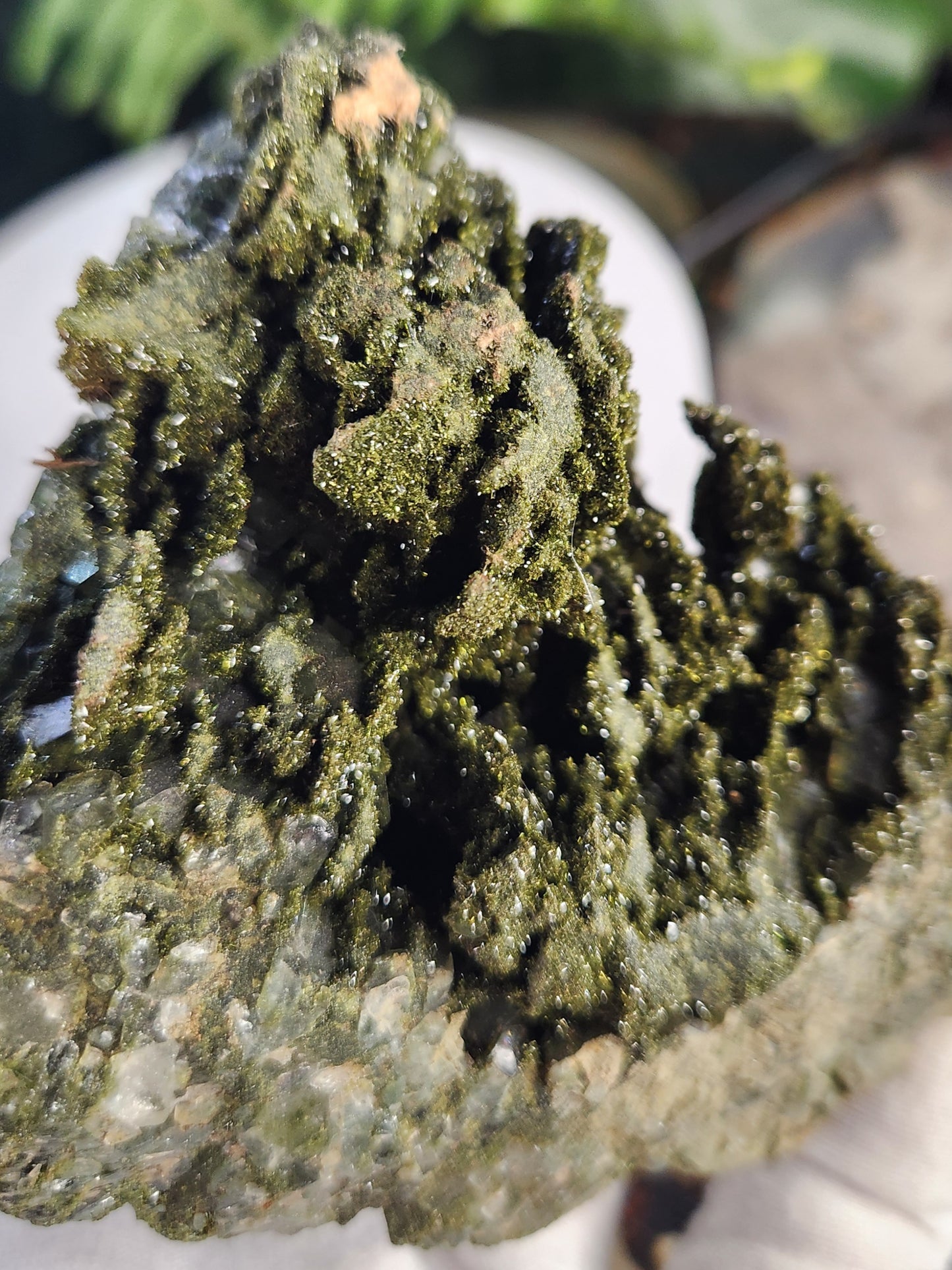 Rare Forest Epidote with Druzy Quartz – Sparkling Green Growth Crystal | Collector Mineral | Grounding & Abundance Stone