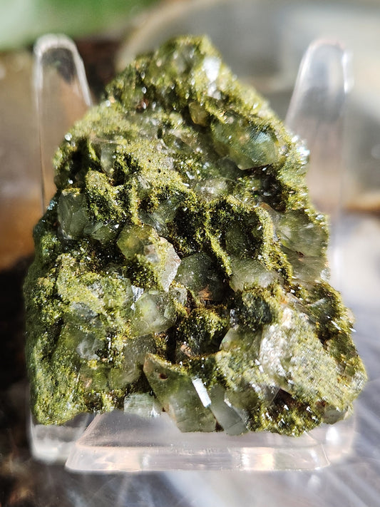 Forest Epidote with Druzy Quartz – Sparkling Green Growth Crystal | Collector Mineral | Grounding & Abundance Stone