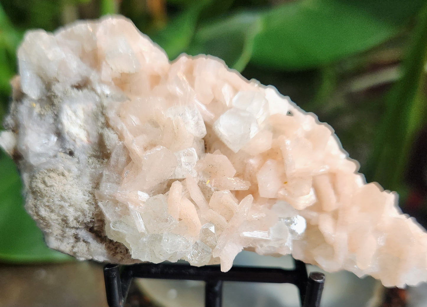 Gorgeous Peach Stilbite with Apophyllite on Matrix | Natural Zeolite Crystal Cluster | India