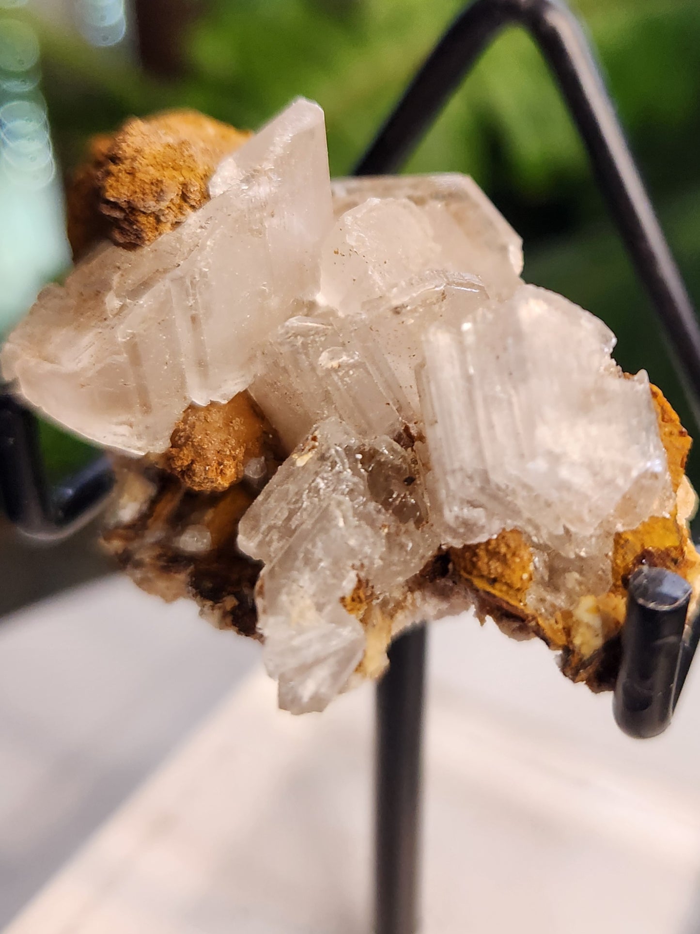 Blade Selenite Crystal Specimen — Natural Satin Spar Gypsum Cluster | Cleansing, Purification, High-Vibration Stone