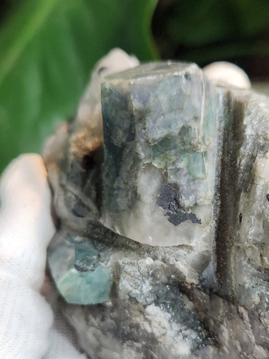 Emerald in Quartz Matrix | Natural Beryl Crystal Specimen | Collector Mineral from Brazil