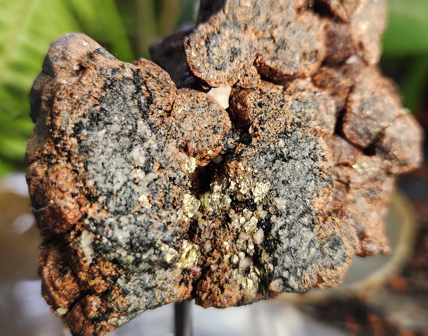 Natural Garnet on Matrix with Pyrite • Raw Almandine Garnet Cluster • Collector Mineral Specimen • Healing & Grounding Root Chakra Stone