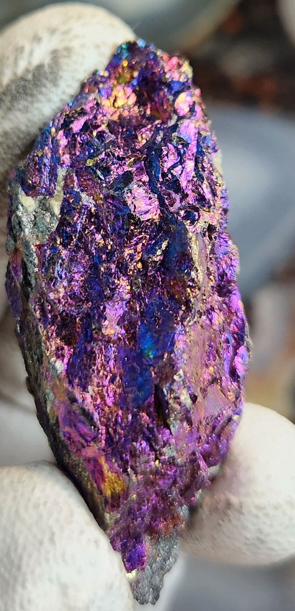 Natural Peacock Ore (Bornite & Chalcopyrite) Iridescent Crystal | Vibrant Rainbow Mineral Specimen