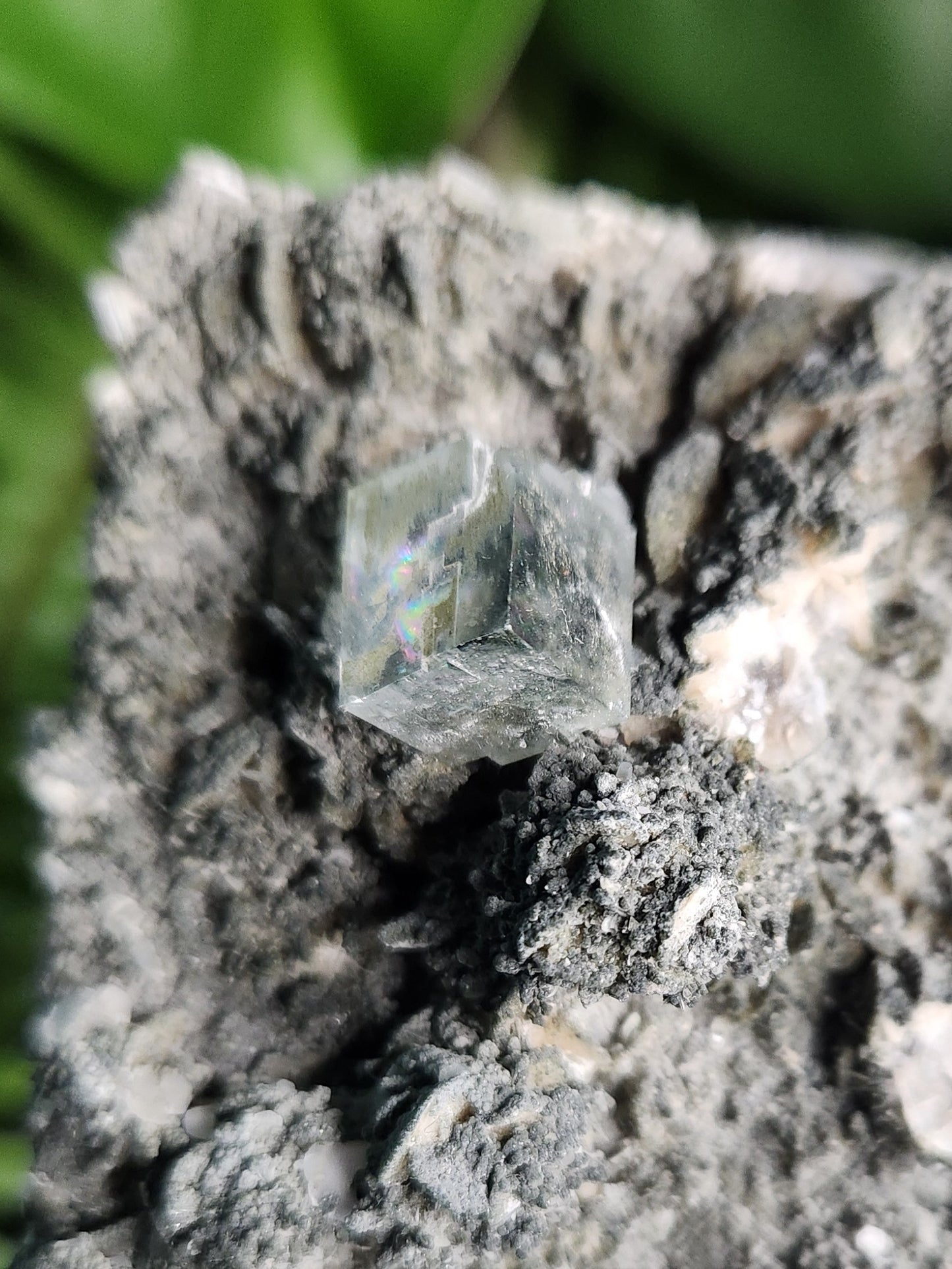 Natural Cubic Fluorite on Matrix – Sharp Green Fluorite Crystals with Textured Host Rock | Collector-Grade Mineral Specimen