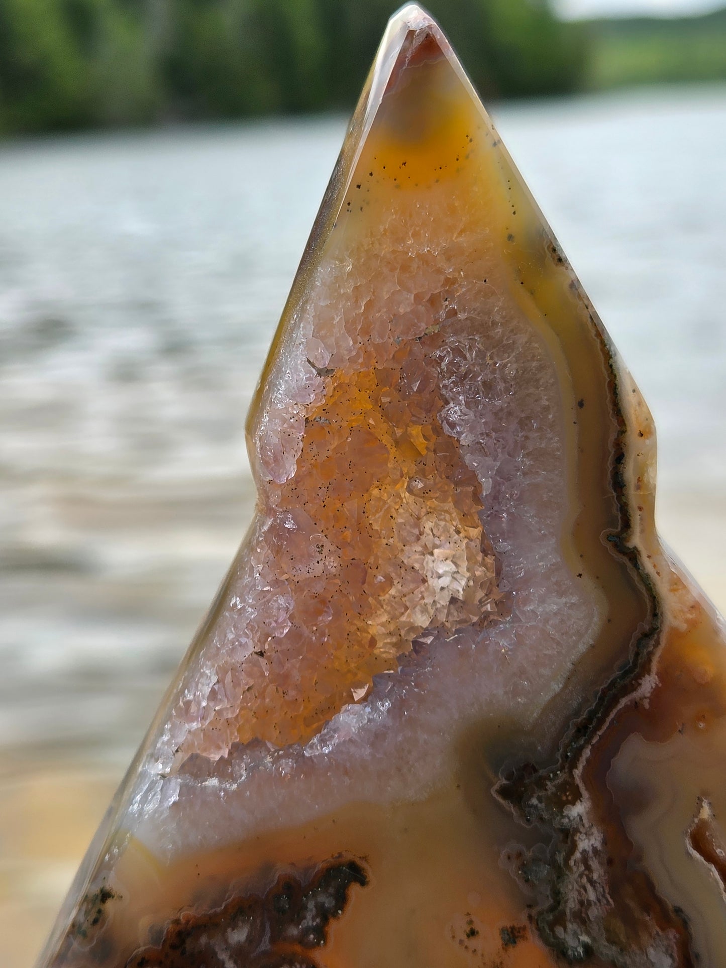 Druzy Agate Tree | Polished Agate Crystal with Druzy Pocket