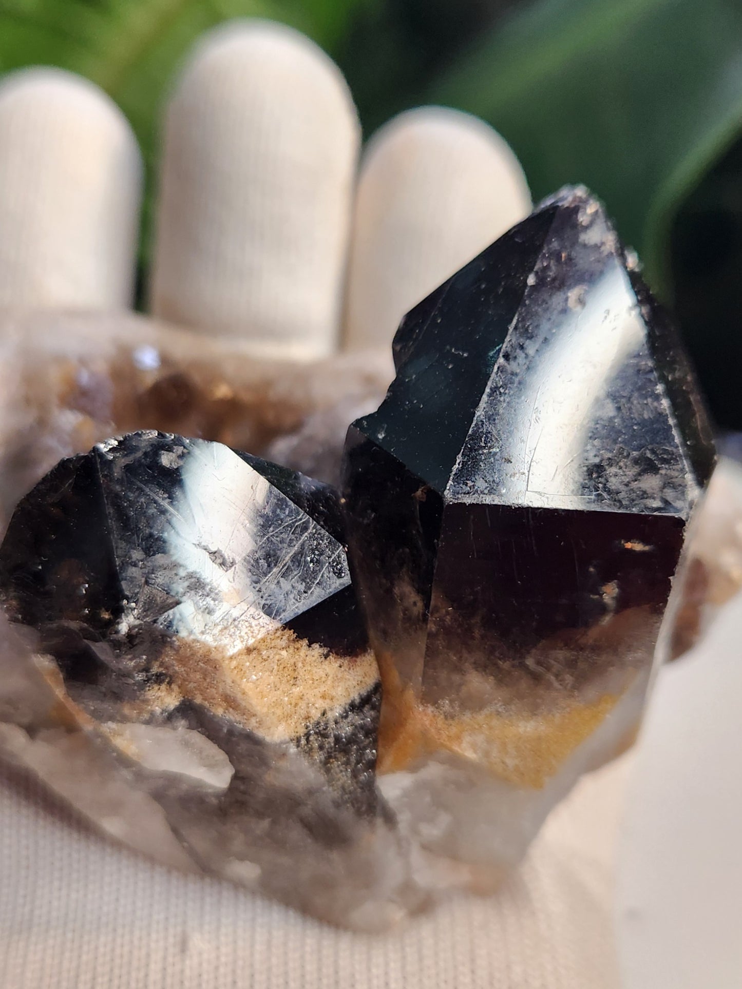 Natural Smoky / Smokey Quartz Crystal Cluster – Dark Smoky Quartz on Matrix - Brazil