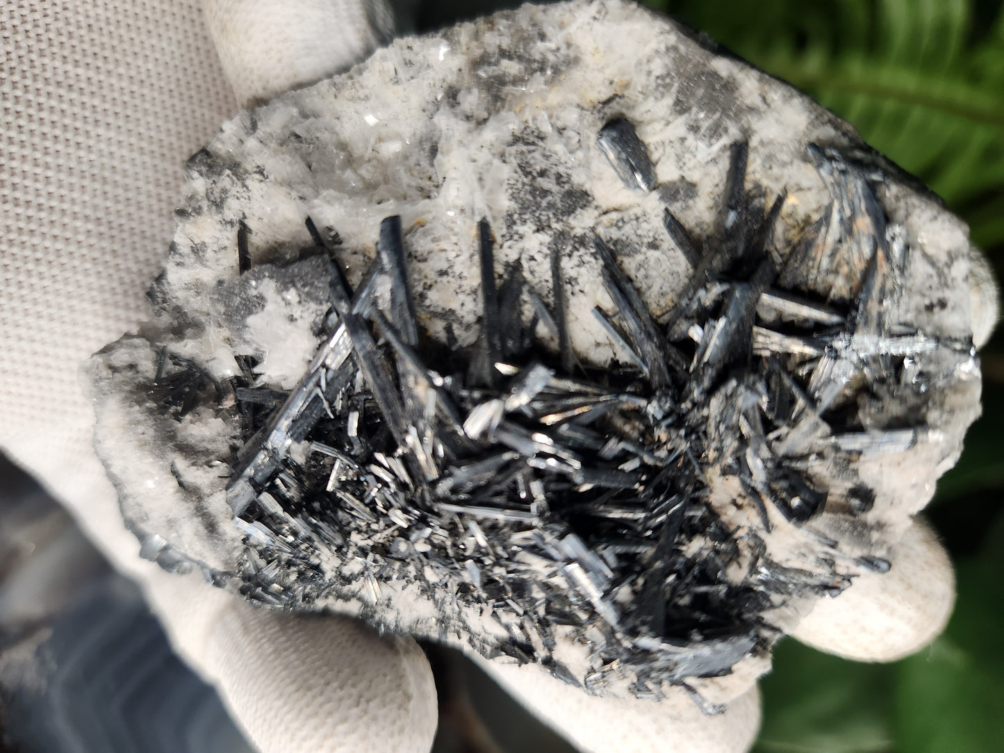 Gorgeous Raw Stibnite Crystal Cluster • Metallic Silver Needle Blades • Rare Collector Mineral Specimen • High-Shine Statement Piece