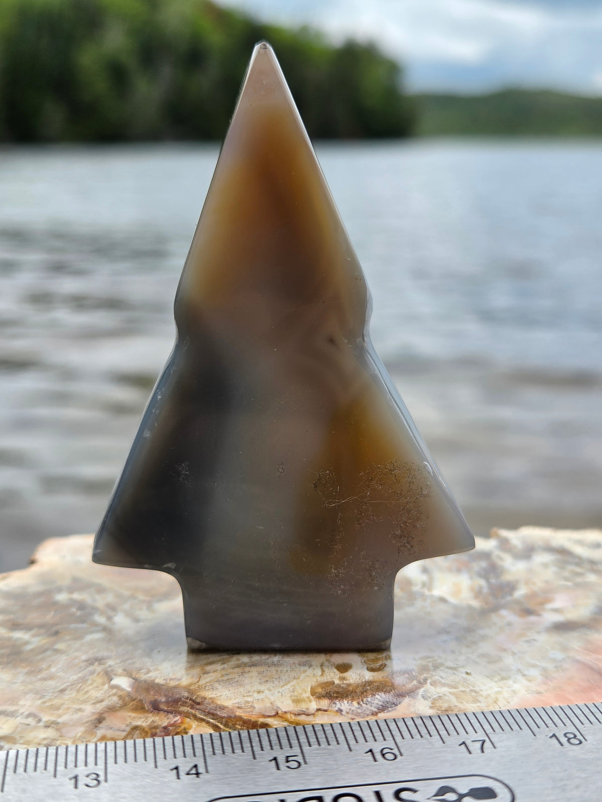 Druzy Agate Tree | Polished Agate Crystal with Druzy Pocket