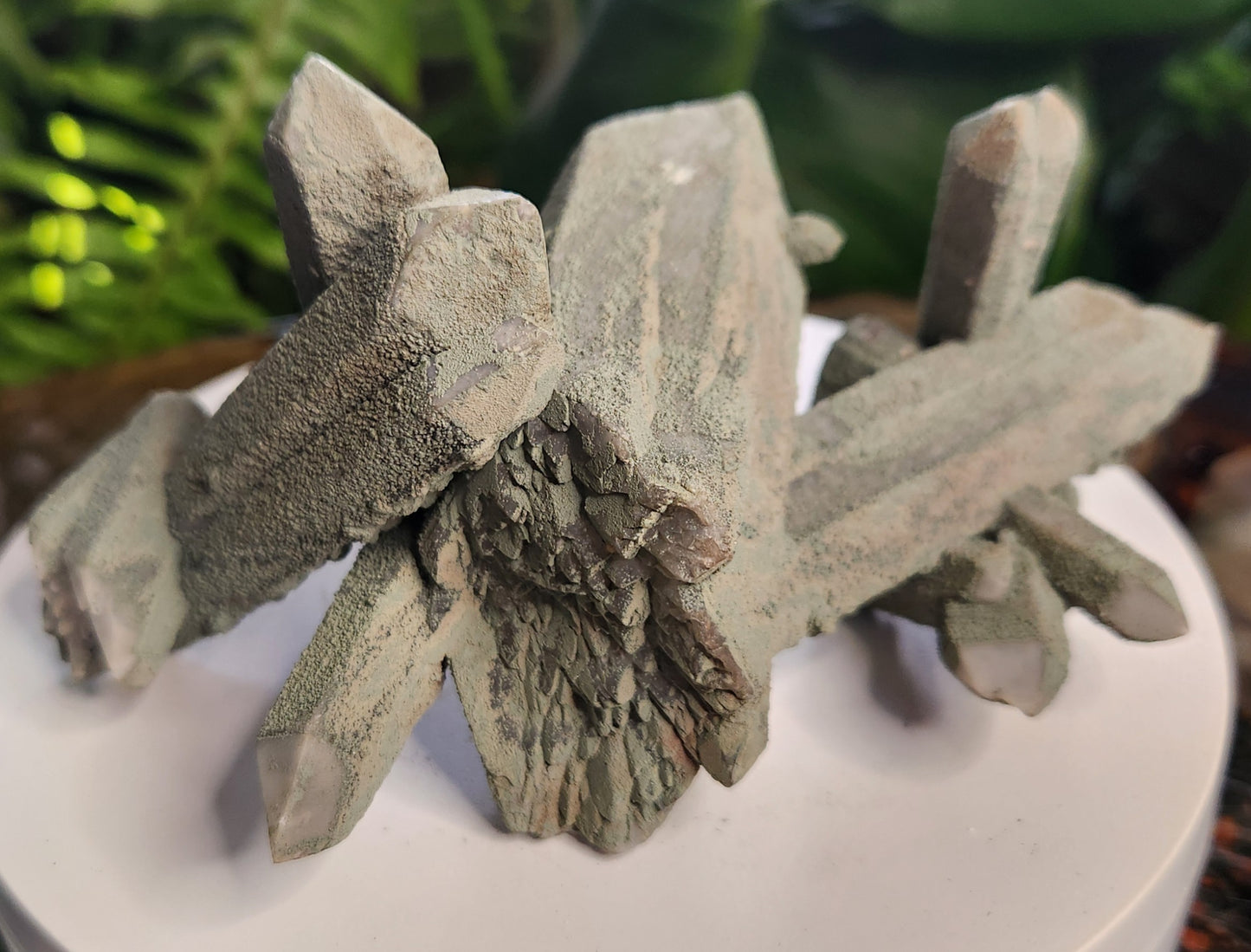 Chlorite-Coated Quartz Cluster • Rare Velvety Green Growth • Natural Formation