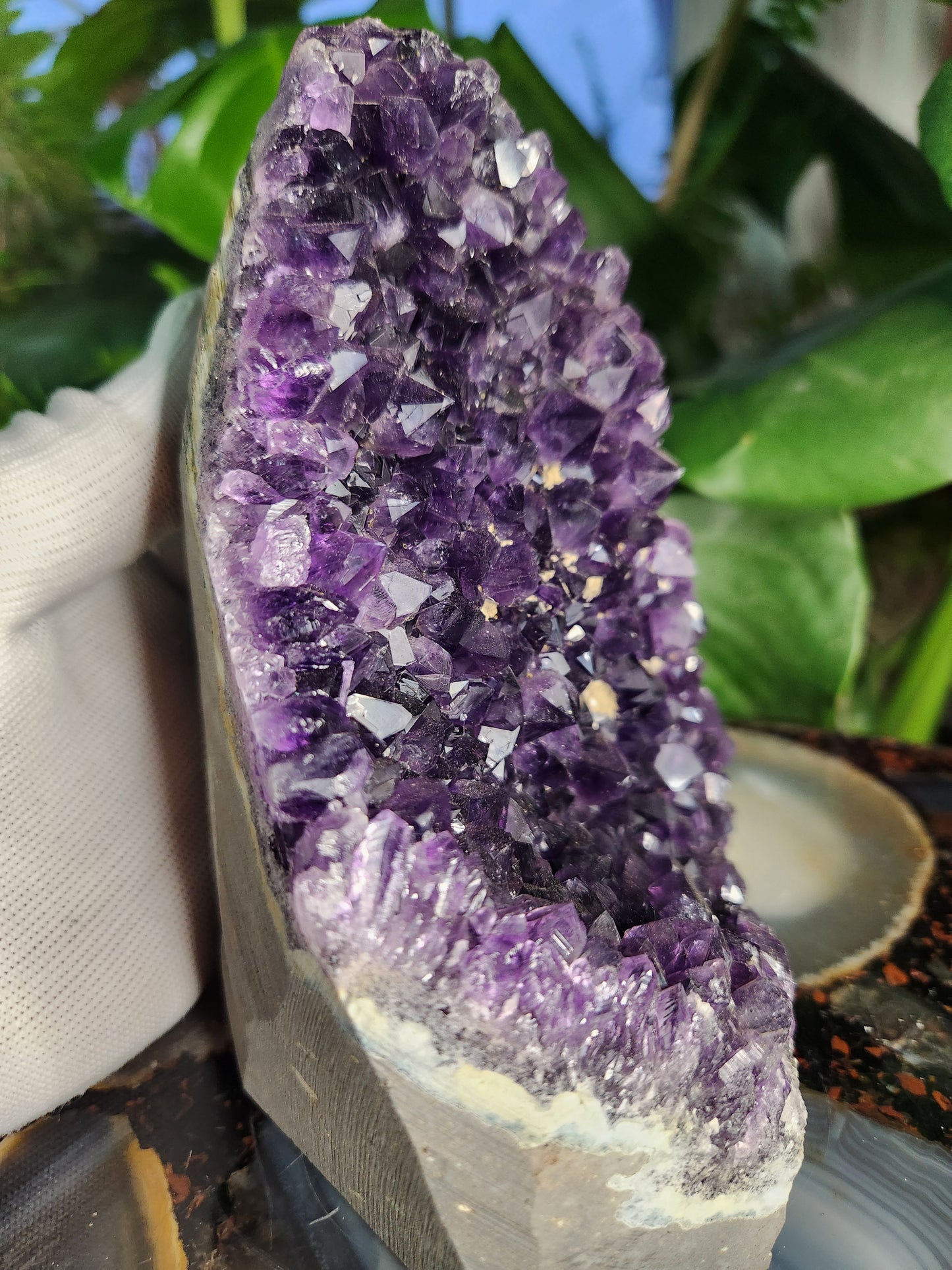Stunning Amethyst Druzy Cluster from Brazil – Sparkling Purple Quartz Crystal Geode • Natural Healing Stone • Collector Display Specimen With Cut Base