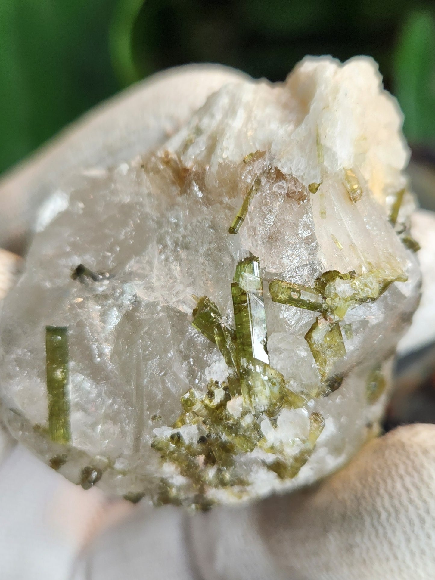 Green Tourmaline Crystals on Quartz Matrix | Natural Elbaite Collector Specimen