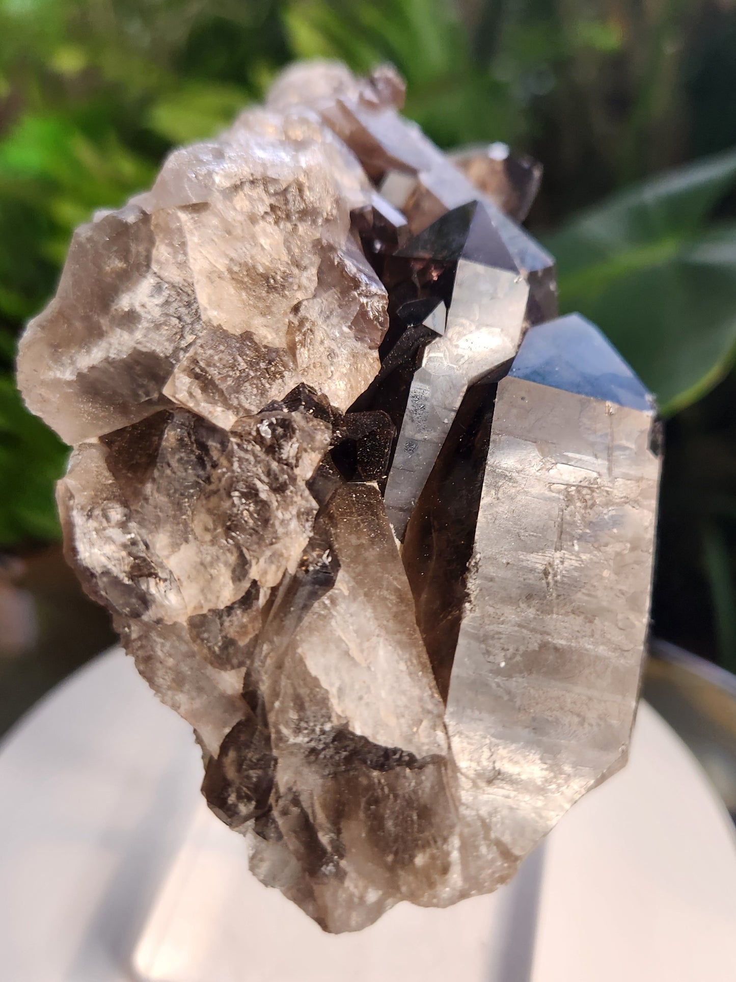 Natural Smoky / Smokey Quartz Crystal Cluster – Dark Smoky Quartz on Matrix - Brazil