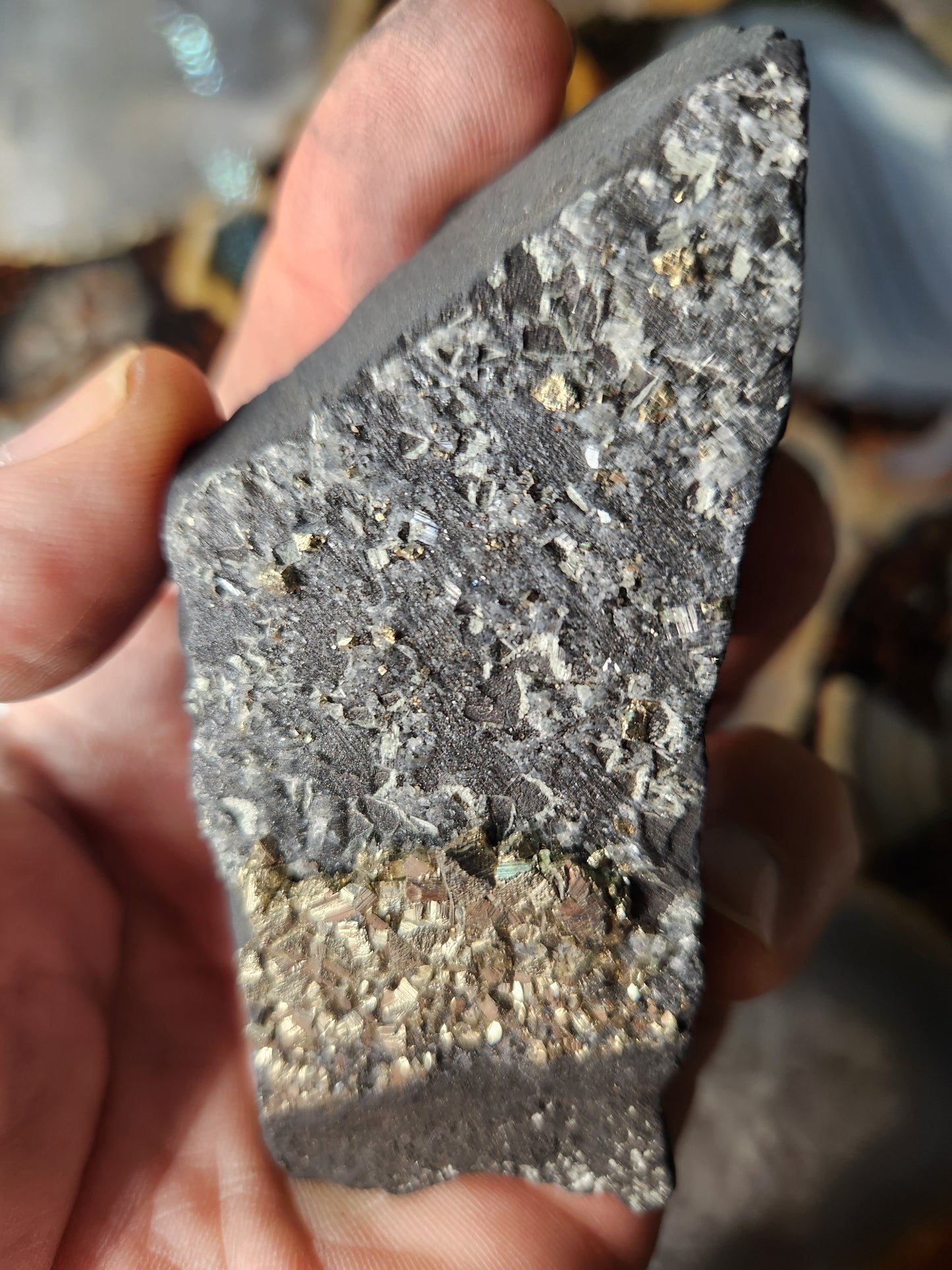 Raw Shungite with Natural Pyrite Inclusions – Russia | Elite Protection Stone • EMF Shielding • Collector Mineral Specimen