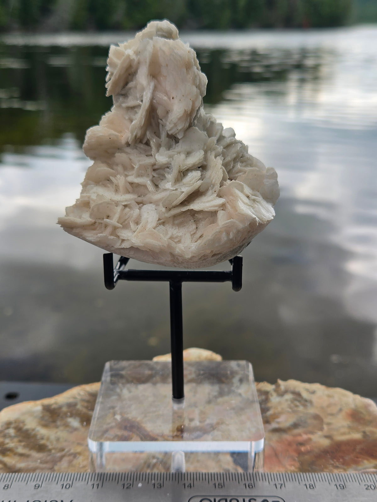 Angel Wing Calcite Crystal Cluster | Natural White Calcite