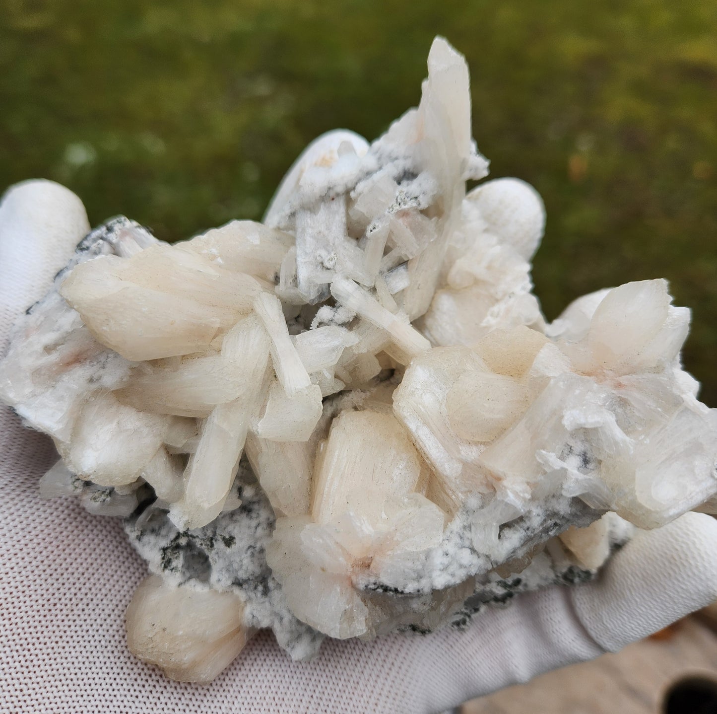 Large Peach-White Stilbite Cluster – Premium Indian Zeolite – Radiating Bladed Crystal Formation
