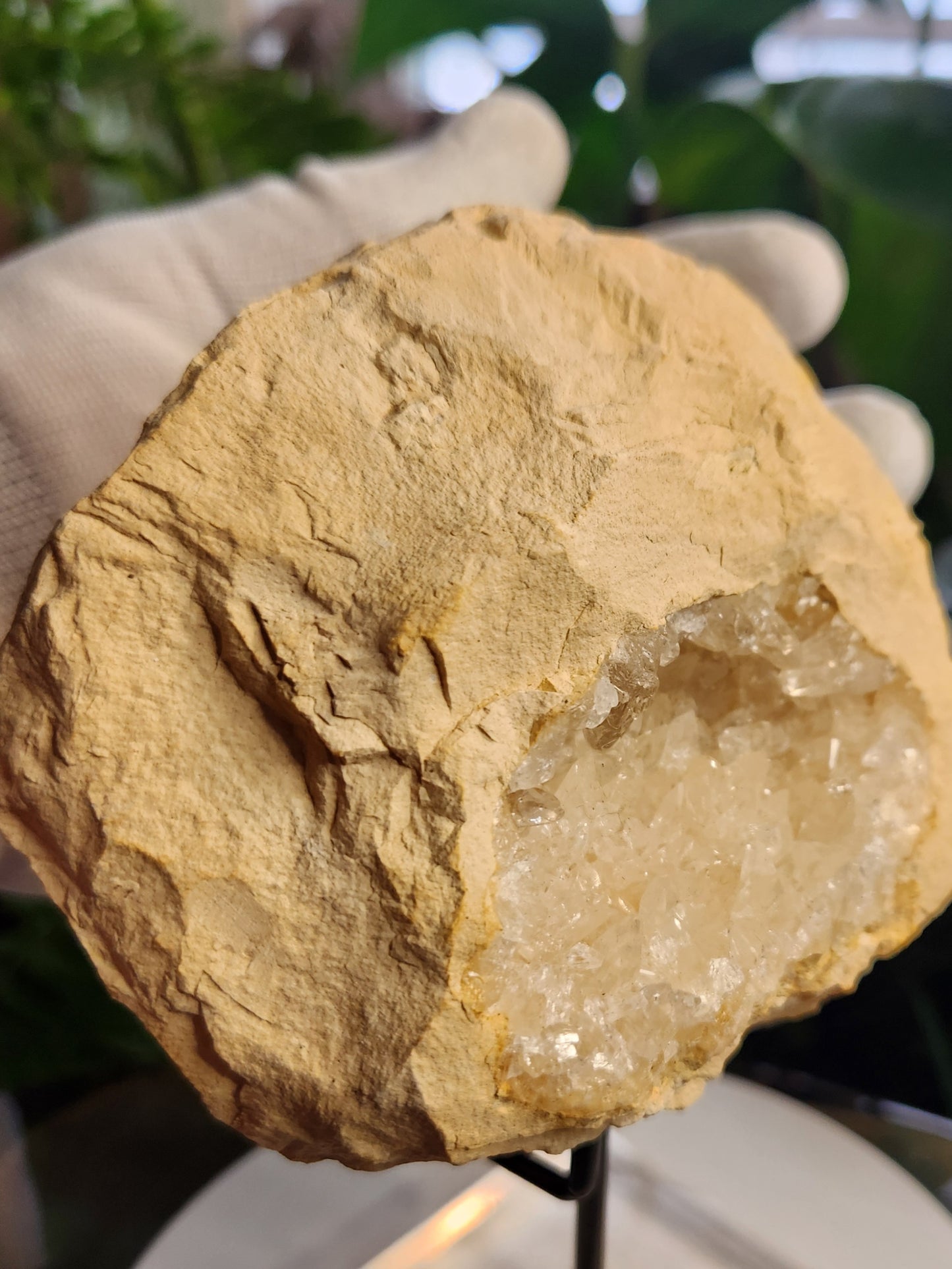 Natural Moroccan Quartz Geode – Crystal-Filled Geode from Morocco