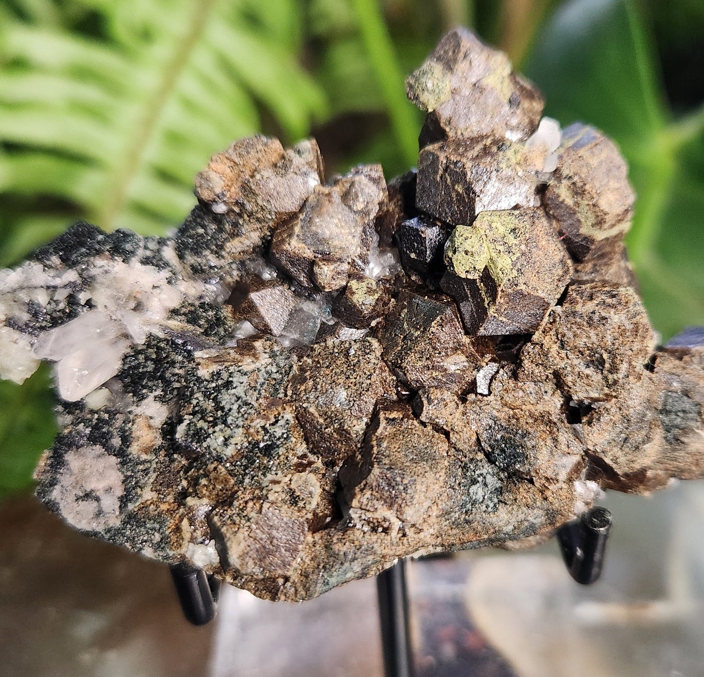 Natural Garnet on Matrix with Green Epidote • Raw Almandine Garnet Cluster • Collector Mineral Specimen • Healing & Grounding Root Chakra Stone