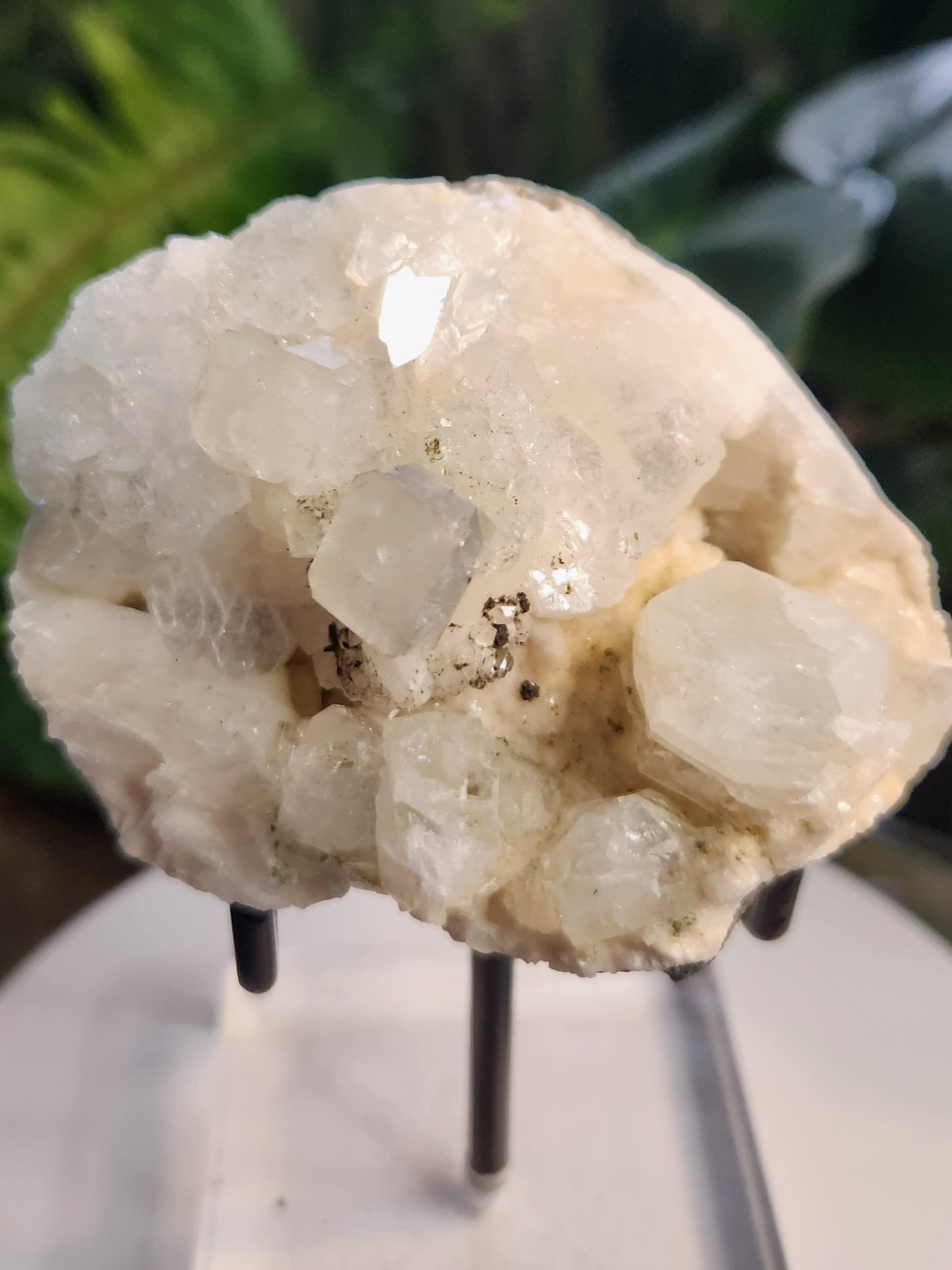 Stunning Natural Apophyllite Crystal on Stilbite – Cubic Apophyllite Zeolite Cluster from India