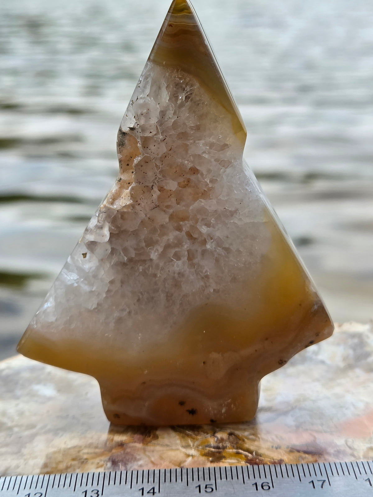 Druzy Agate Tree | Polished Agate Crystal with Druzy Pocket