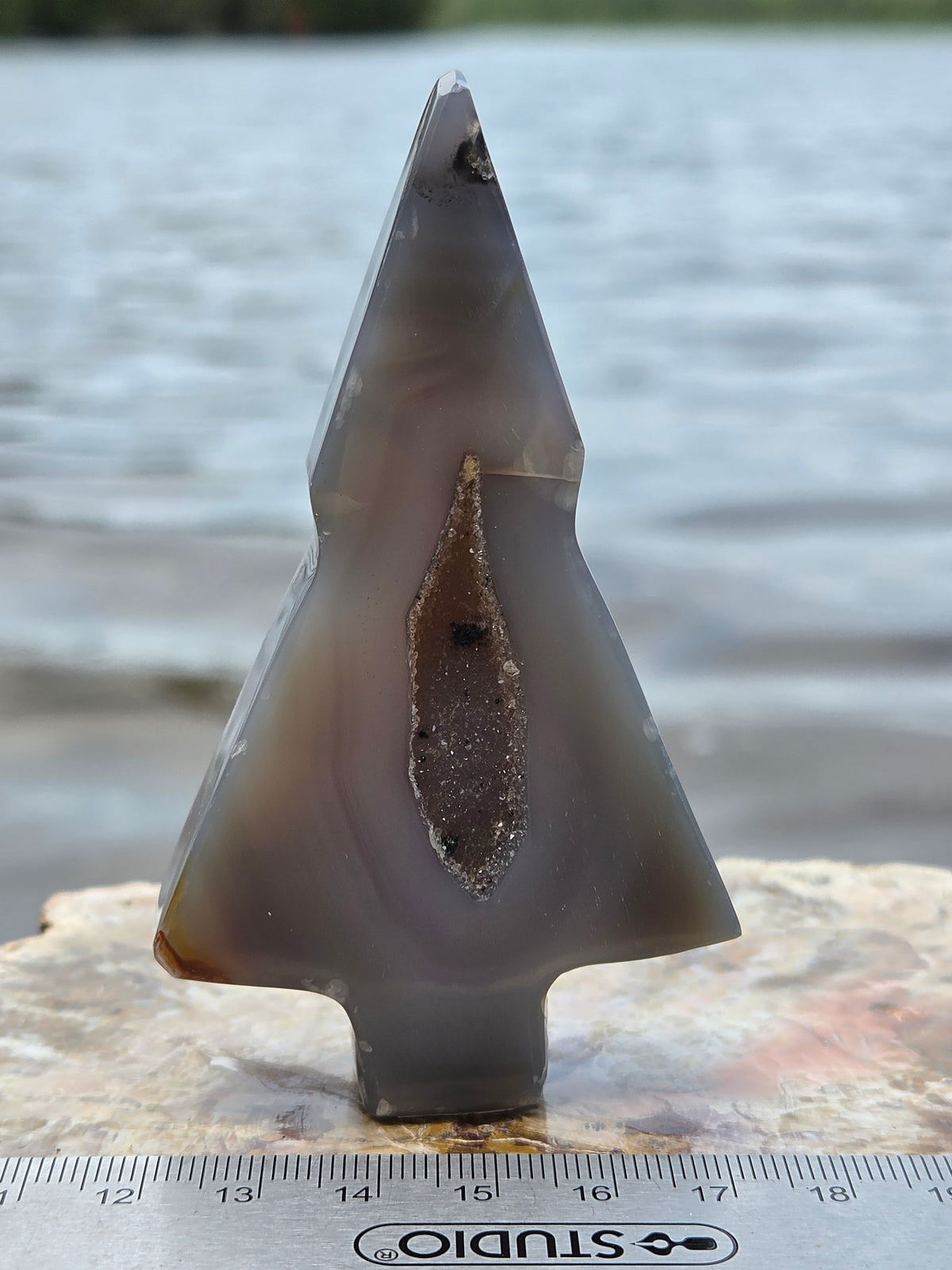 Druzy Agate Tree | Polished Agate Crystal with Druzy Pocket