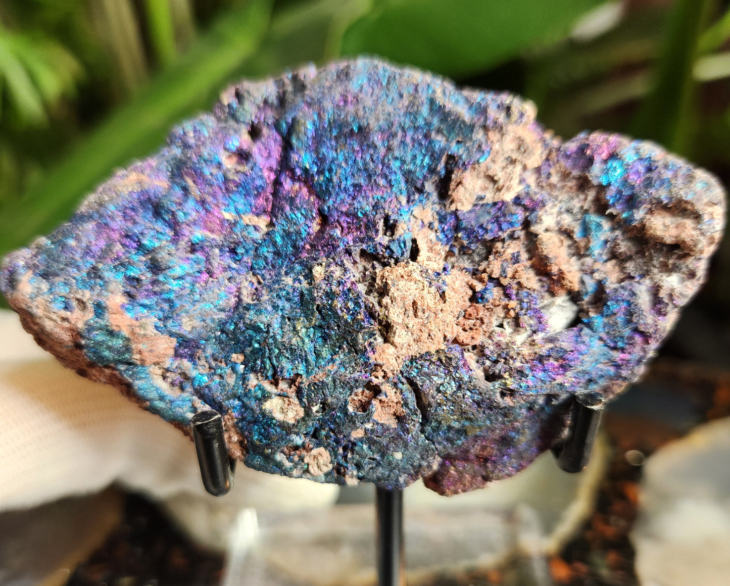 Natural Peacock Ore (Bornite & Chalcopyrite) Iridescent Crystal | Vibrant Rainbow Mineral Specimen