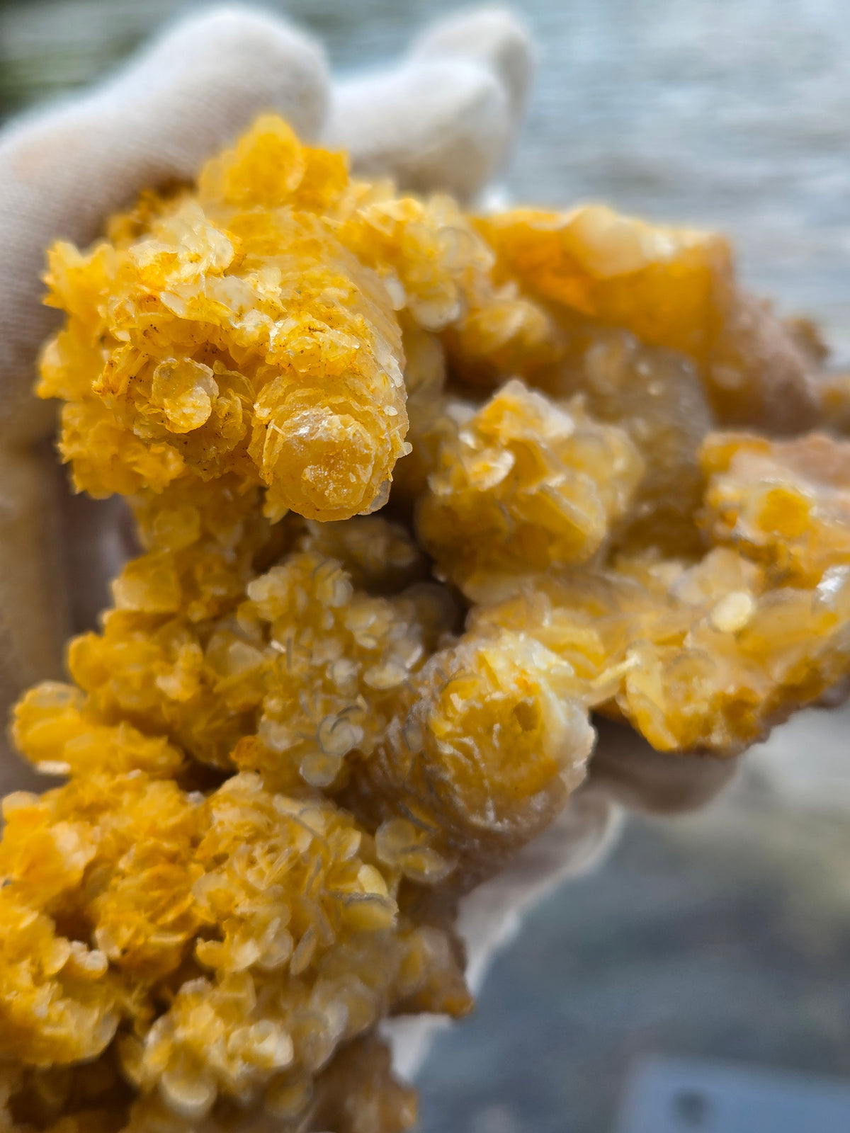 Large Golden Calcite Crystal Cluster | Large Orange Calcite Mineral Specimen