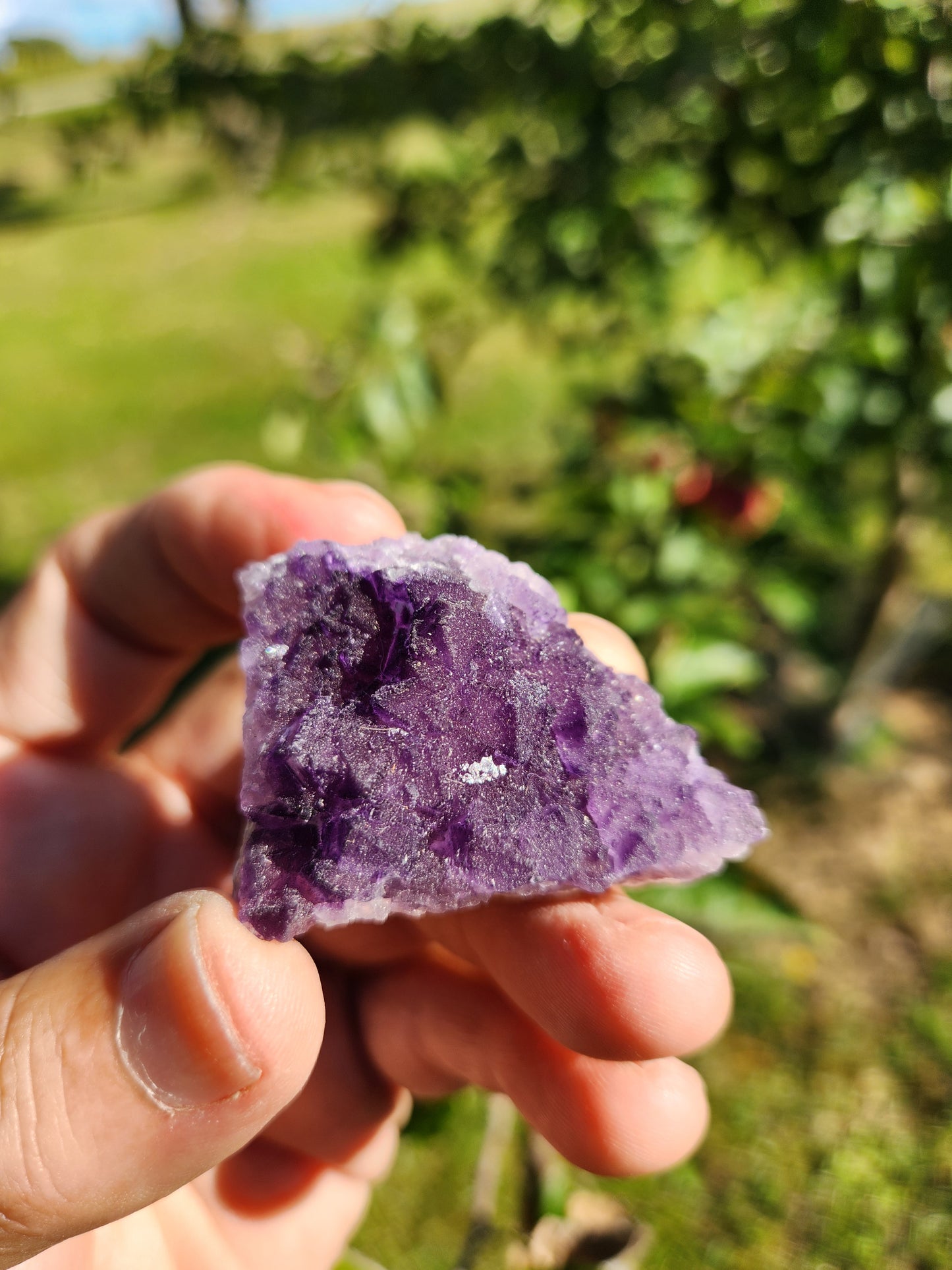 Purple Flourite Crystal Cluster with Cubes - Intuition Awareness