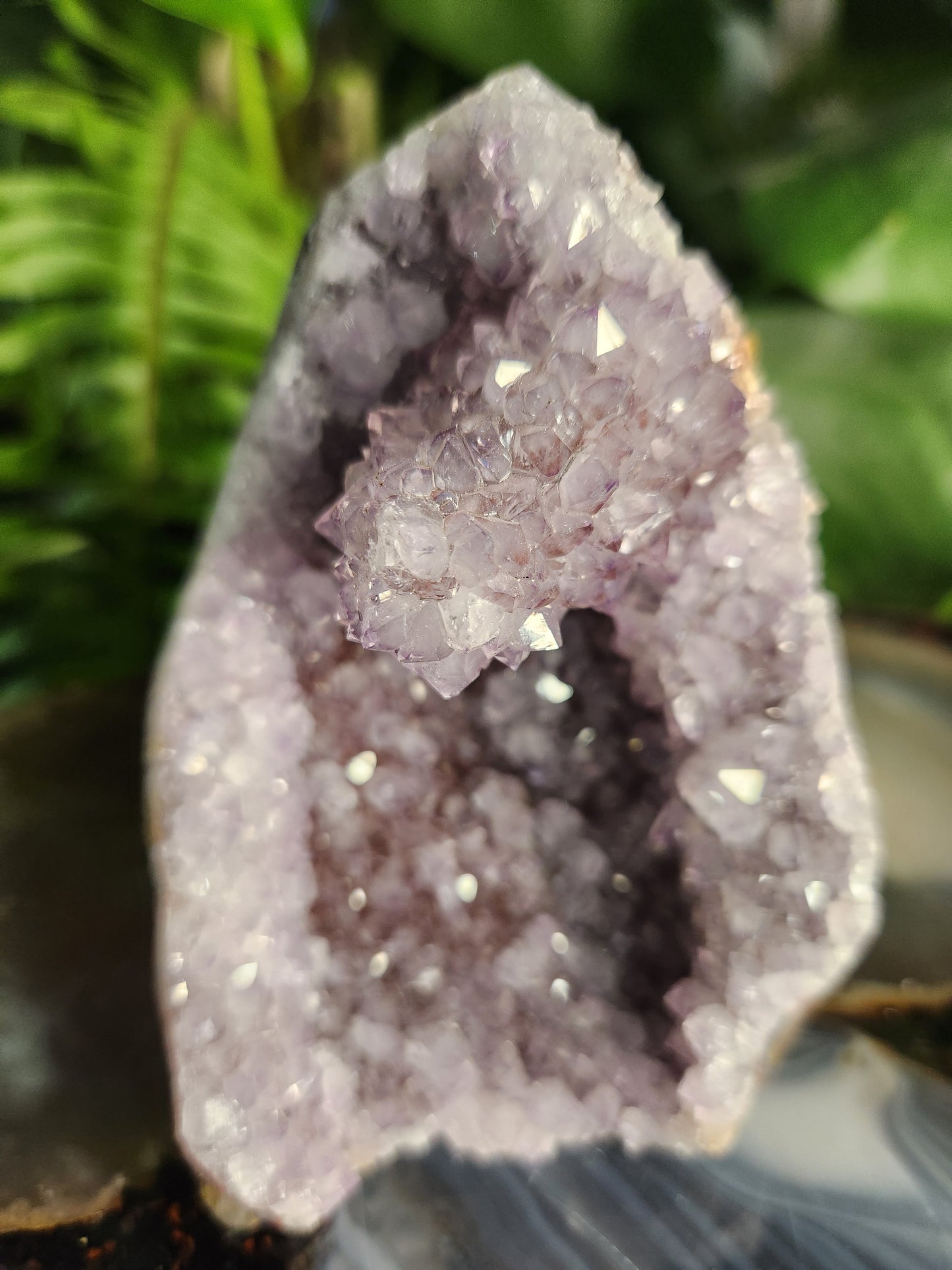 Stunning Amethyst Druzy Cluster from Brazil – Sparkling Purple Quartz Crystal Geode • Natural Healing Stone • Collector Display Specimen With Cut Base
