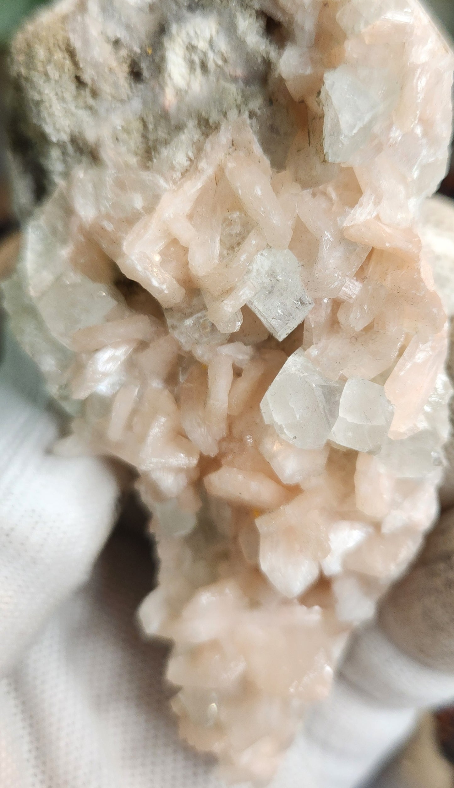Gorgeous Peach Stilbite with Apophyllite on Matrix | Natural Zeolite Crystal Cluster | India