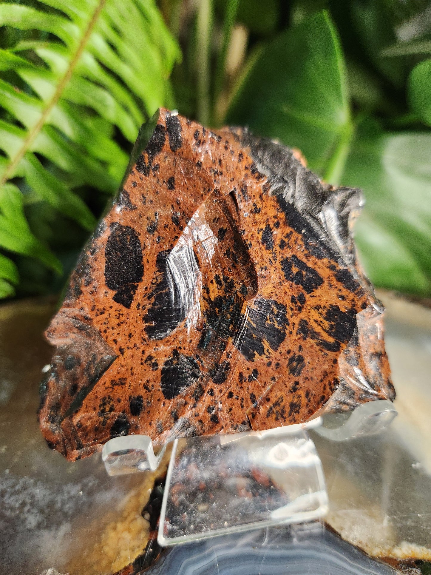 Raw Mahogany Obsidian Slab – Red & Black Volcanic Crystal with Natural Patterning | Protection • Grounding • Strength
