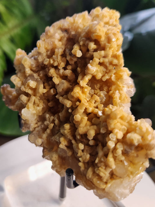 Gorgeous Natural Orange Calcite Crystal Cluster – Raw Orange Calcite on Matrix