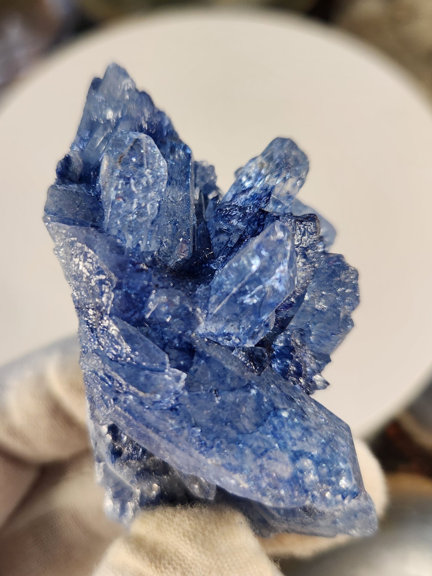 Blue Quartz Crystal Cluster | Color Enhanced Quartz | Home Décor Statement Mineral