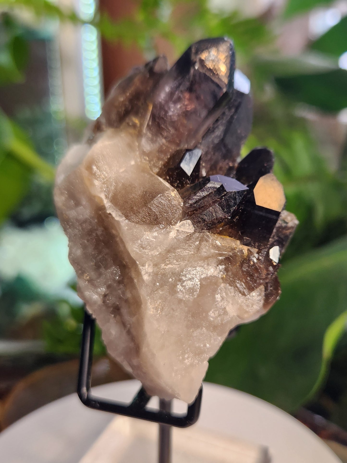 Natural Smoky / Smokey Quartz Crystal Cluster – Dark Smoky Quartz on Matrix - Brazil