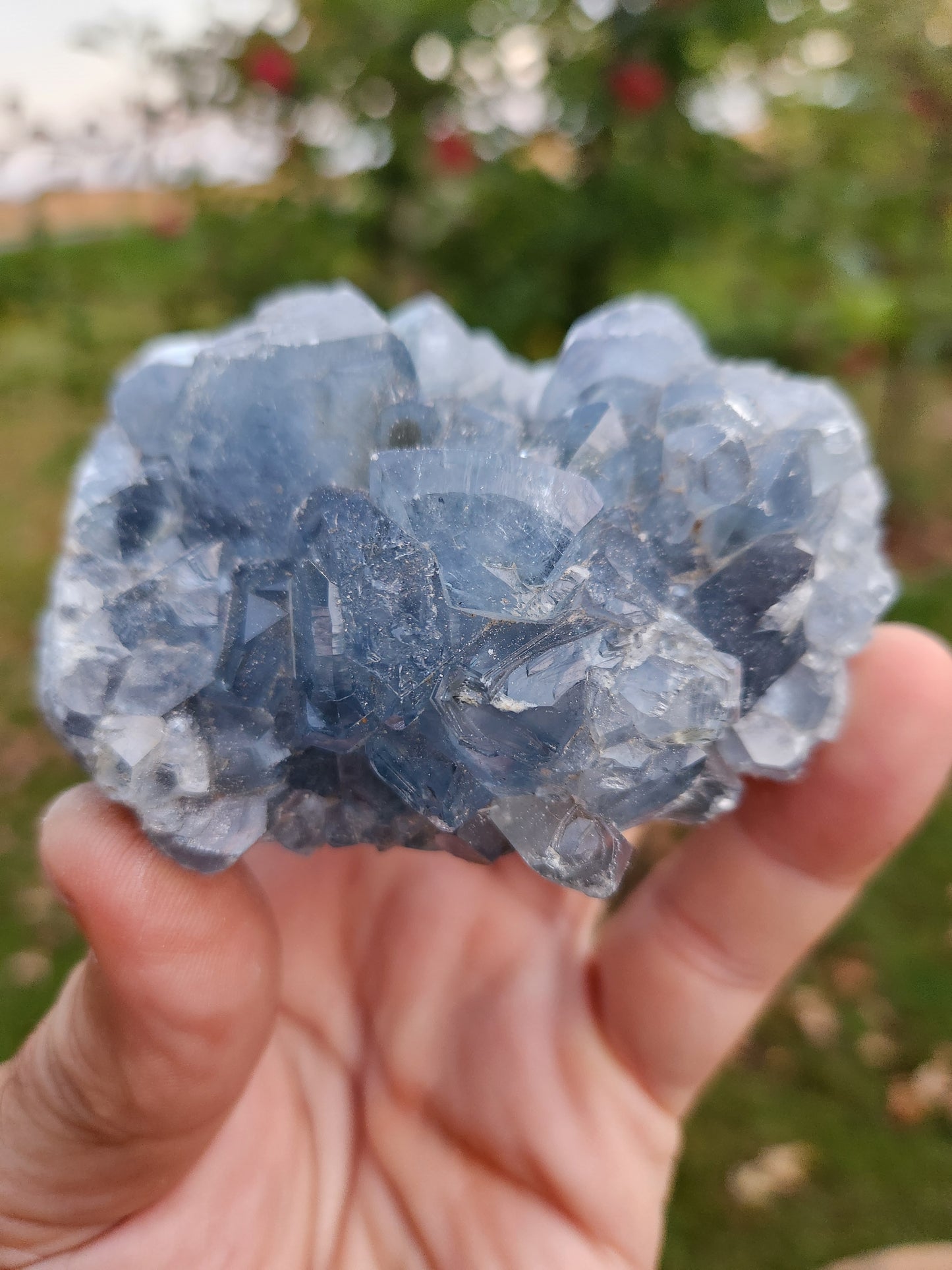 Natural Celestite Cluster – Raw Blue Celestine Crystal for Healing, Meditation & Home Décor