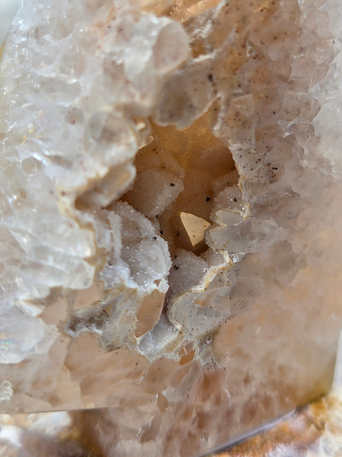 Druzy Agate Tree | Polished Agate Crystal with Druzy Pocket