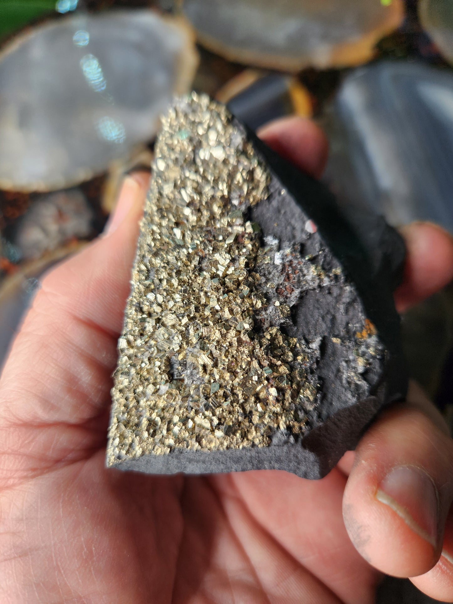 Raw Shungite with Natural Pyrite Inclusions – Russia | Elite Protection Stone • EMF Shielding • Collector Mineral Specimen