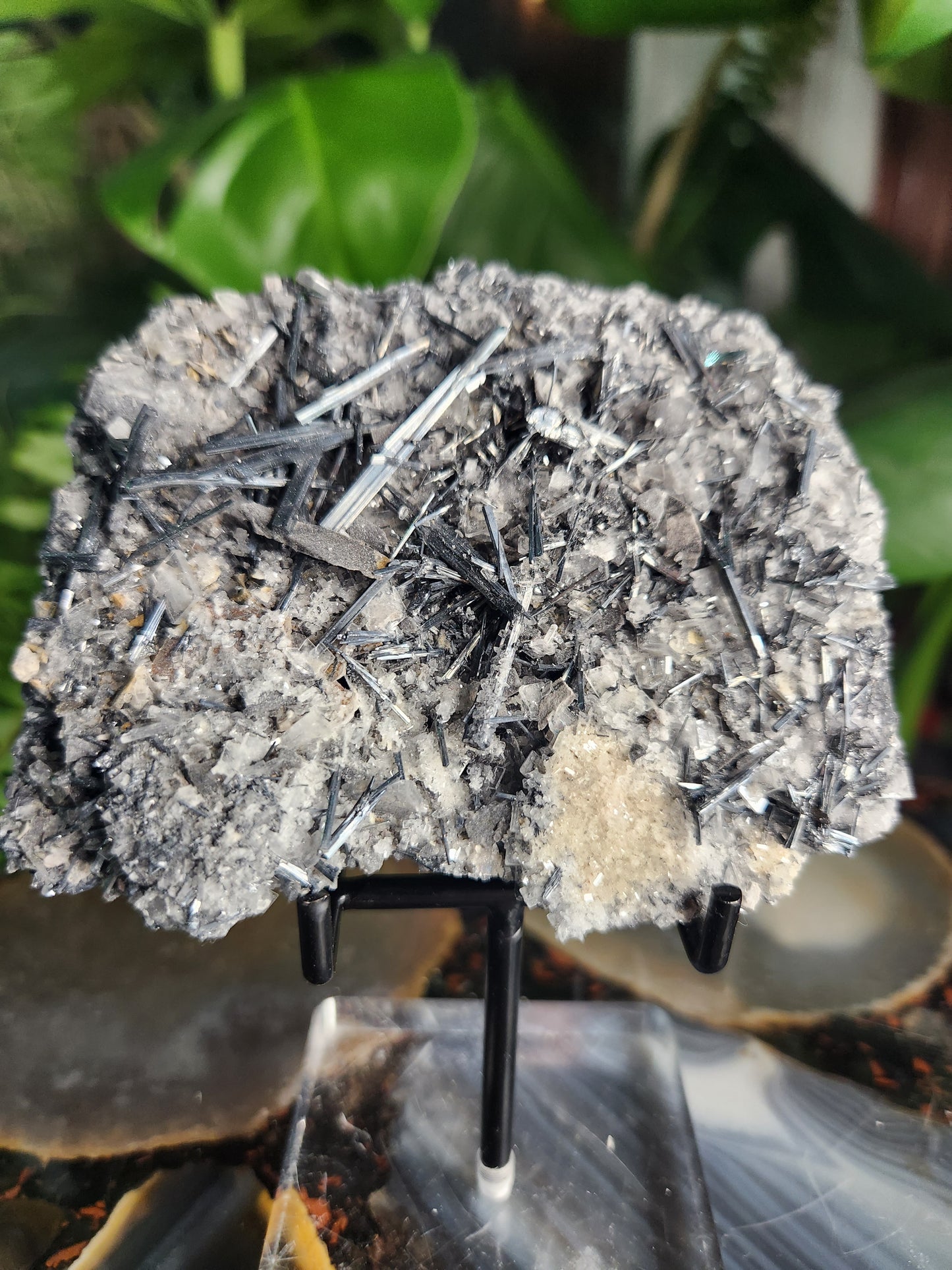 Gorgeous Raw Stibnite Crystal Cluster • Metallic Silver Needle Blades • Rare Collector Mineral Specimen • High-Shine Statement Piece