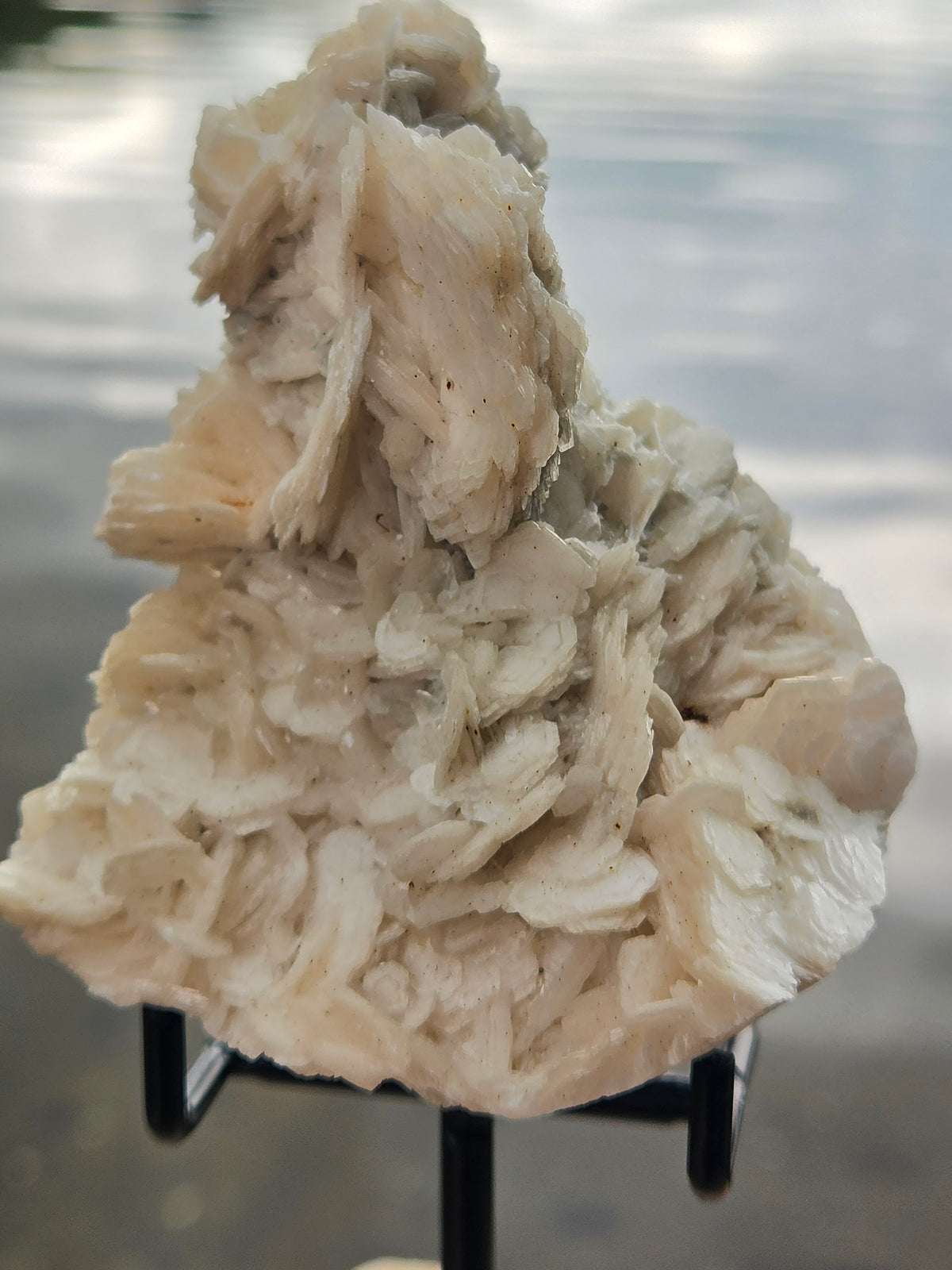 Angel Wing Calcite Crystal Cluster | Natural White Calcite